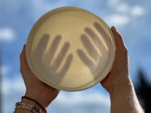 Die Fastenschale aus feinstem Porzellan